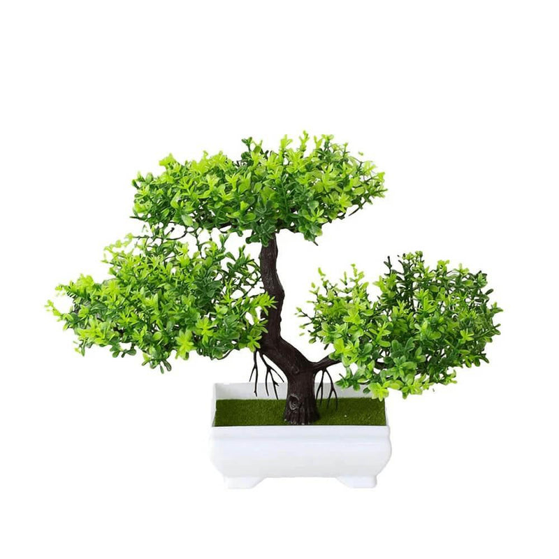 Árvore Bonsai - Artesanal - Mundo Diverso